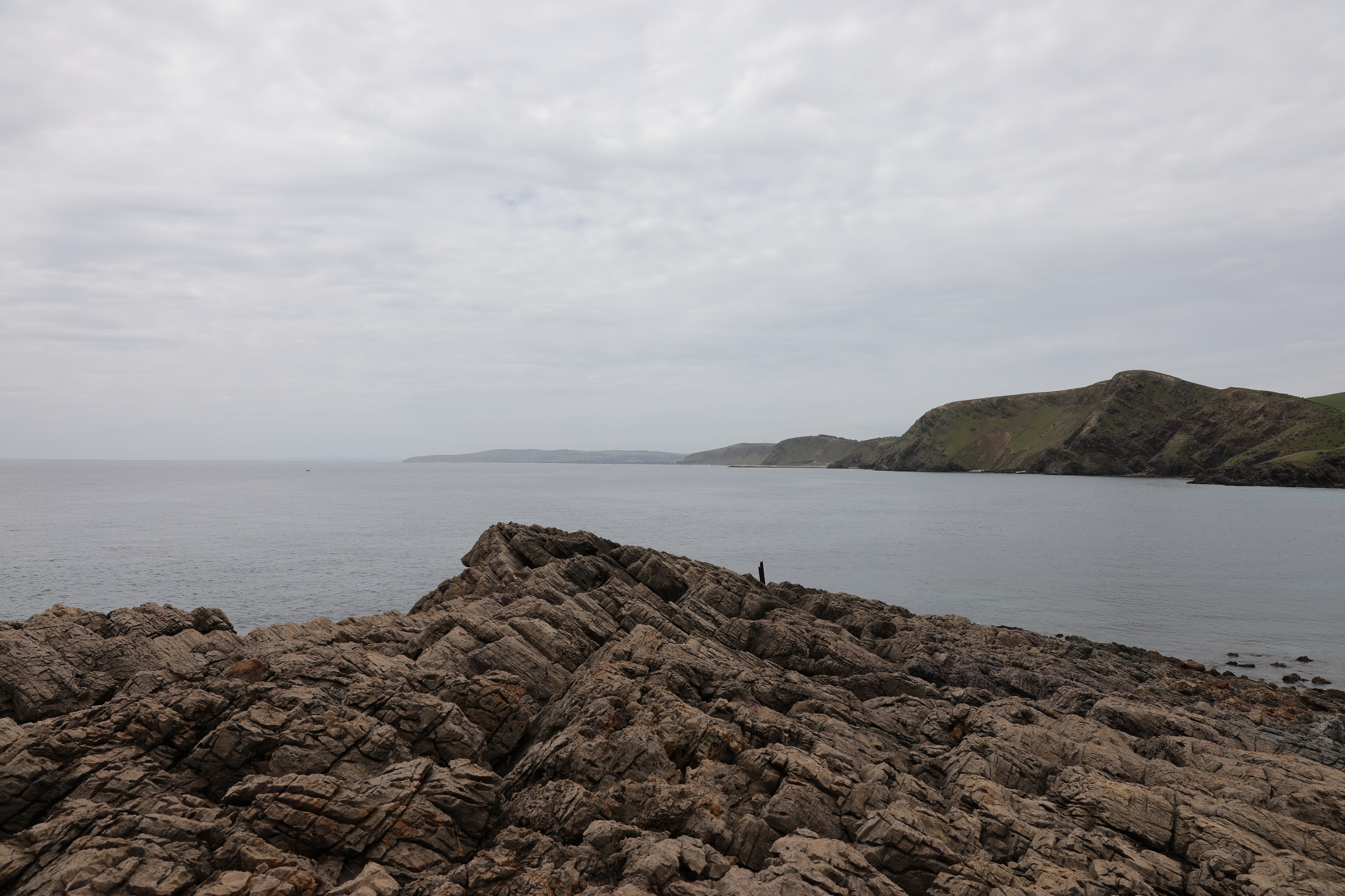 2019 09 28 13 50 55 Canon EOS 5D Mark IV 0016